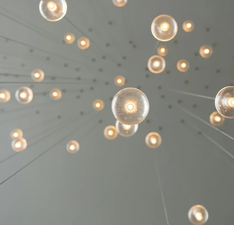 Sustainable Bio-Innovation